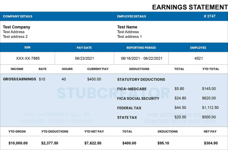 How Freelancers Can Use a Pay Stub Template as Proof of Income